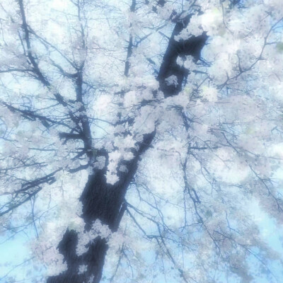 ⁺ . ✞ ⊹水色依存症⊹ ✞ ₊⁺   /cr.集印廢紙