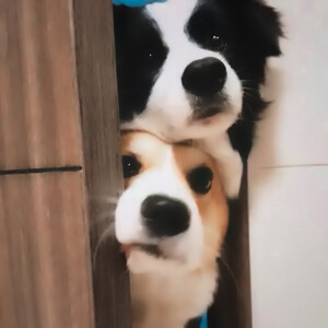 ▫️闭上眼睛 我好想带你到我的星星




张极