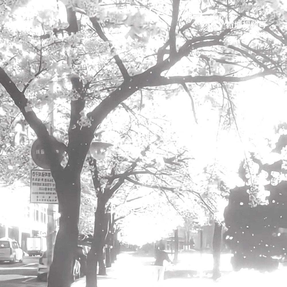 *Are you lost? ☆กําลังมองหาอยู่···