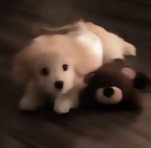 ▫️闭上眼睛 我好想带你到我的星星




张极