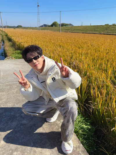 鹭卓