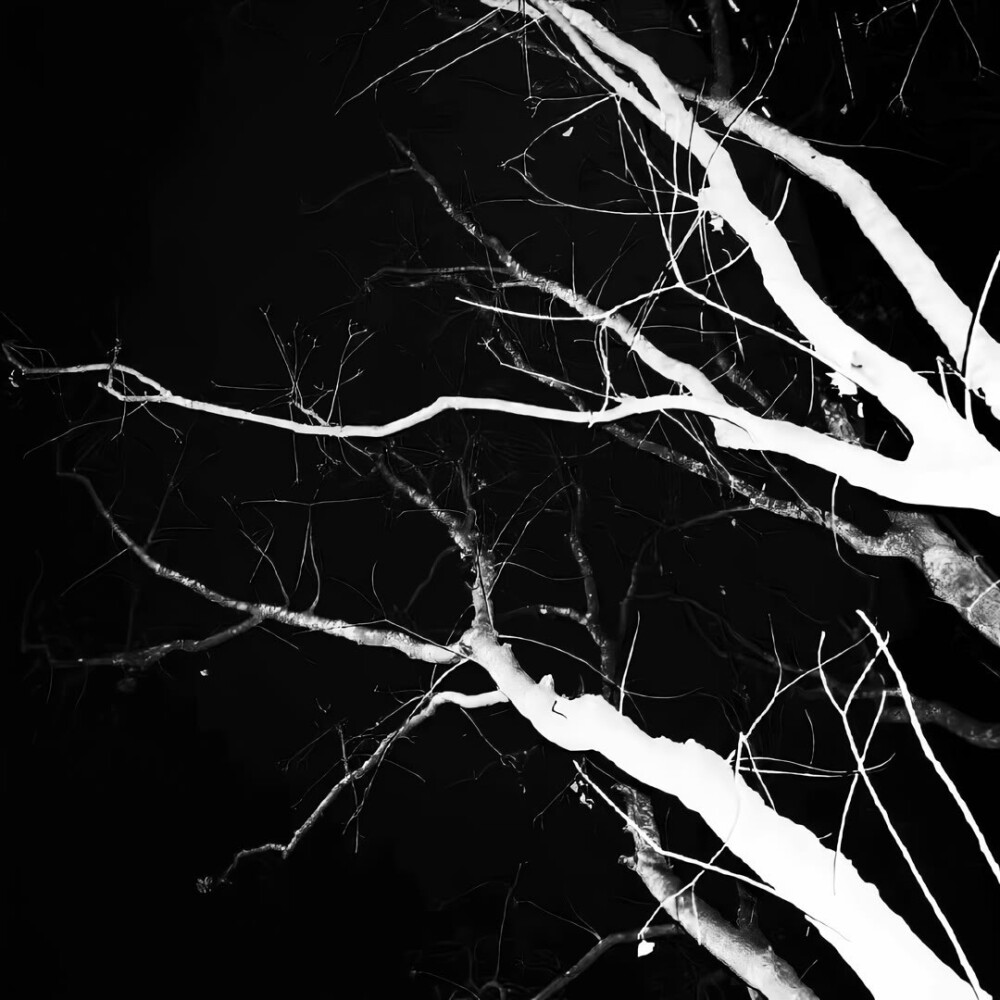 高清图片,堆糖,美图壁纸兴趣社区