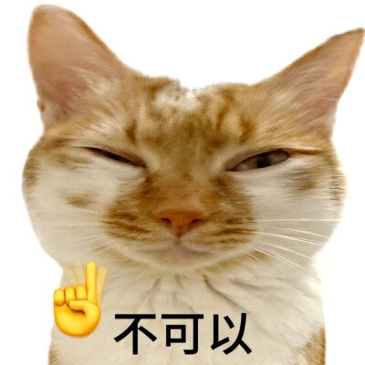 猫猫表情包