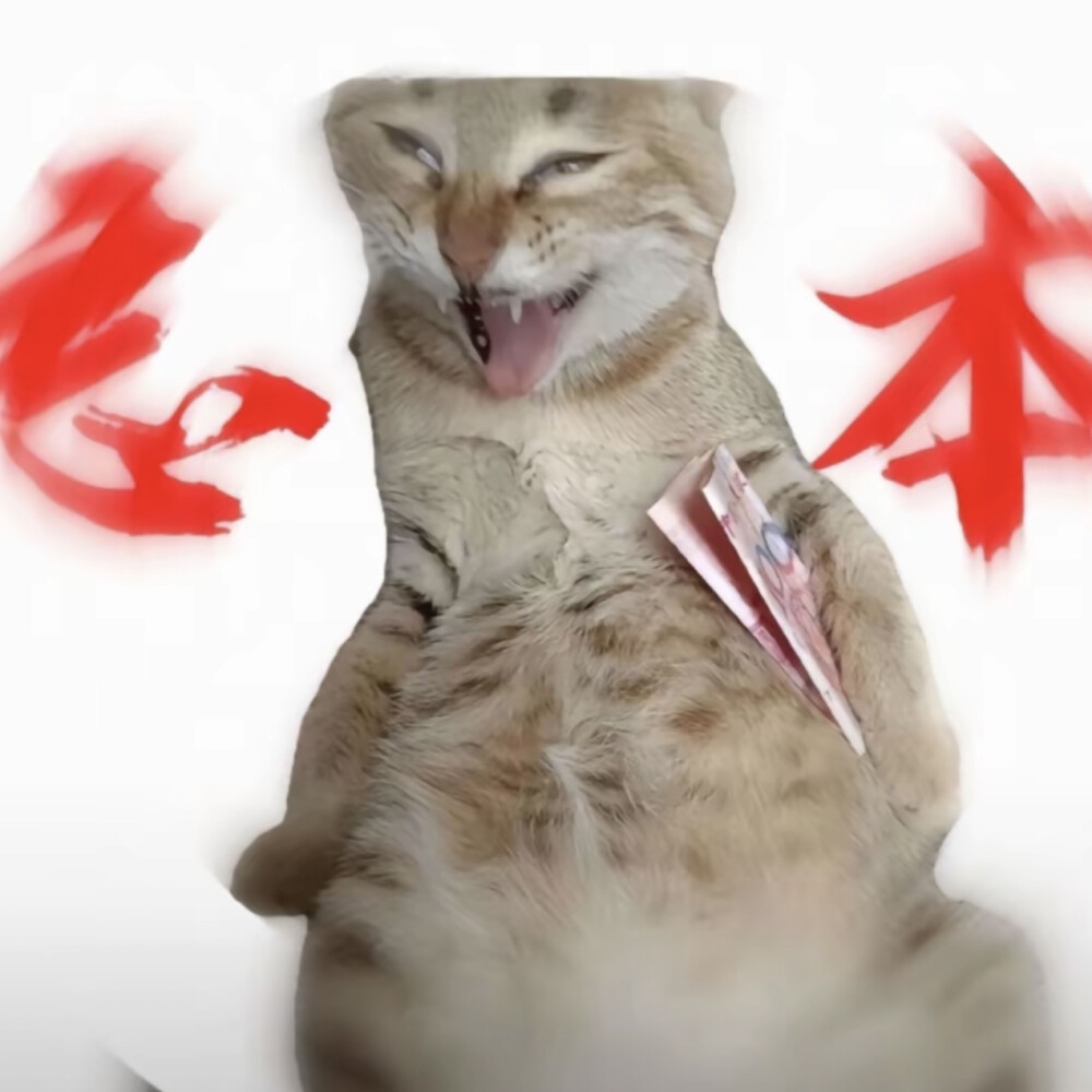 猫咪表情包