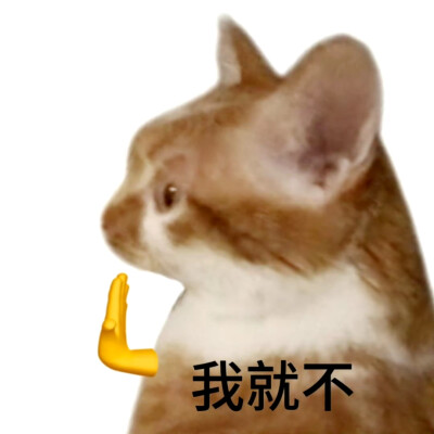 猫猫表情包