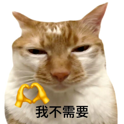 猫猫表情包