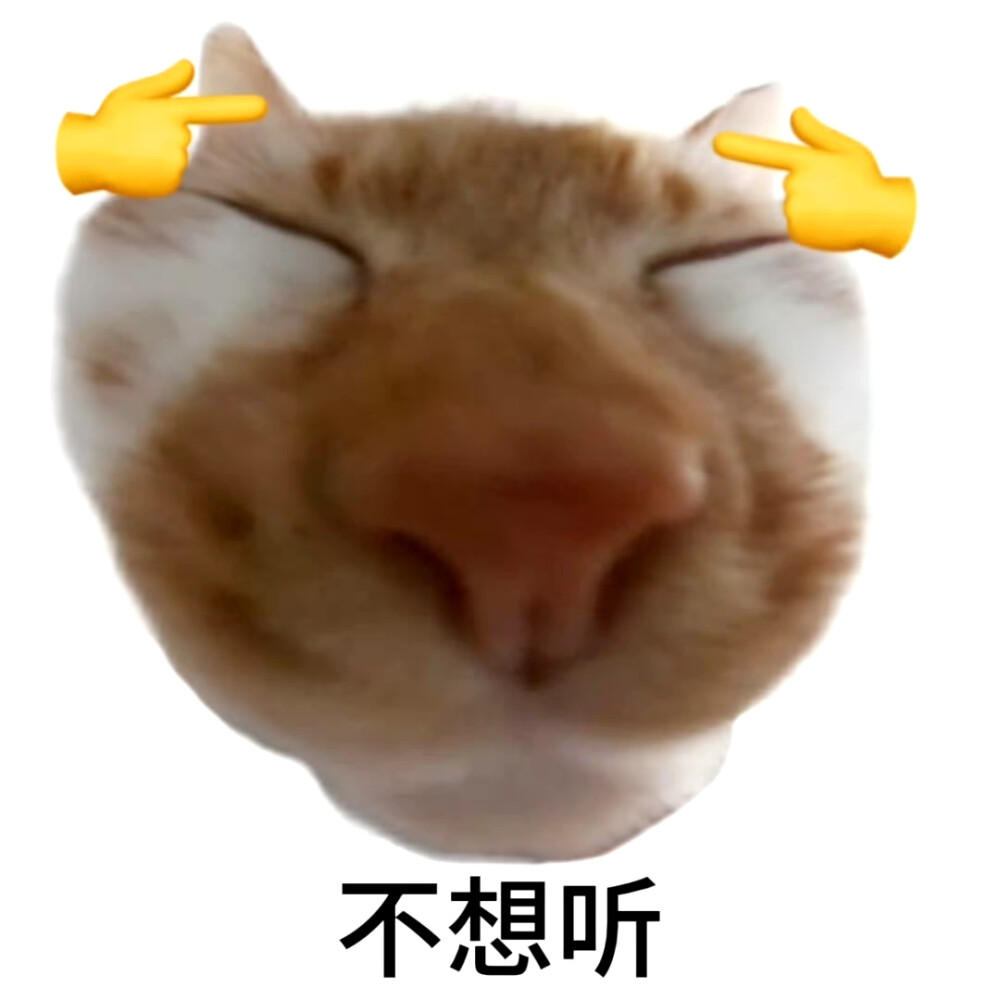 猫猫表情包