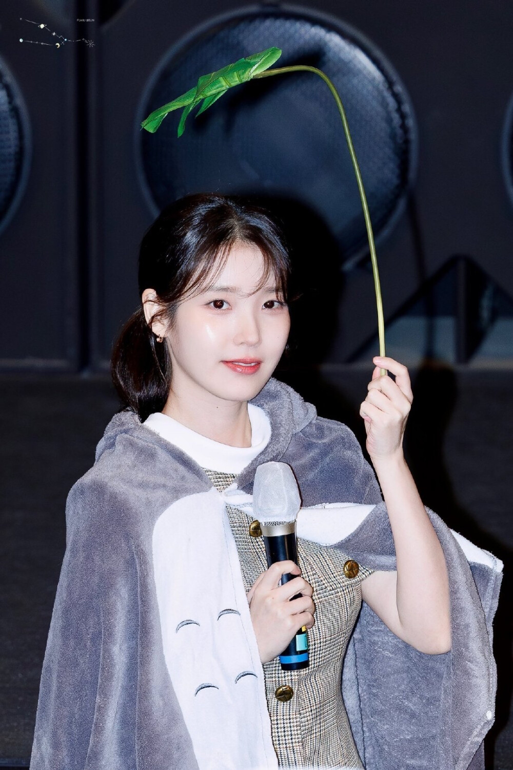 iu