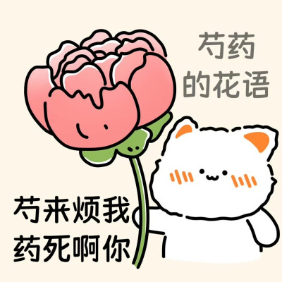 无事小猫