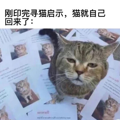 喂你这算什么主人