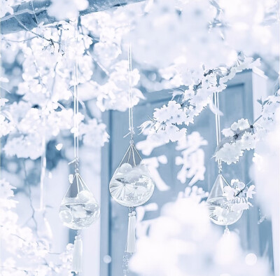  ✩ ̩͙ ⁺ブルー ·̩͙ ⁺.