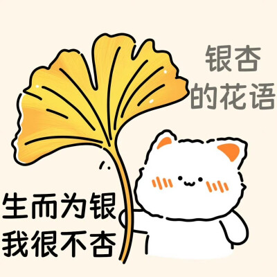 无事小猫