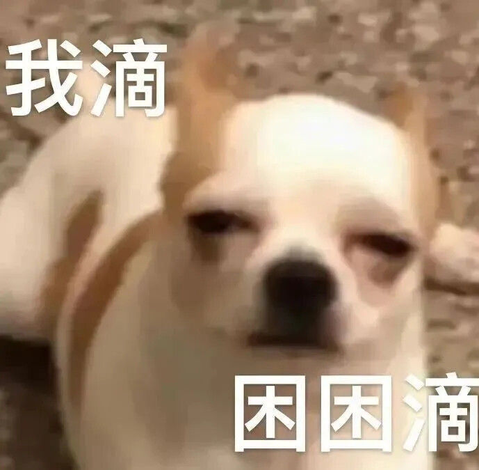 表情包