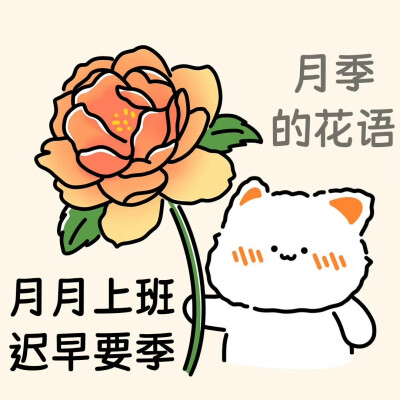 无事小猫