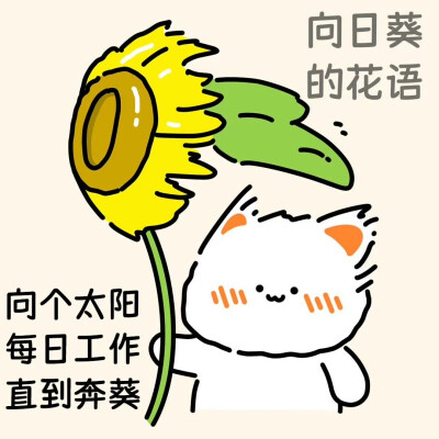 无事小猫