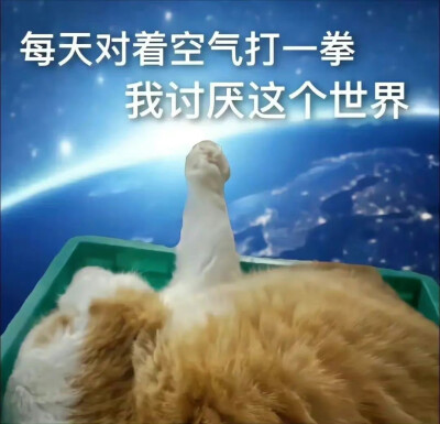 哈哈哈