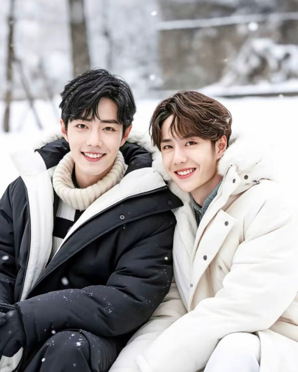 博君一肖是真的