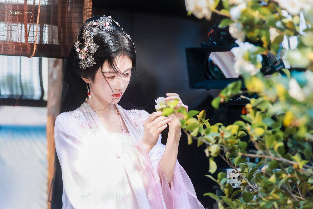 鞠婧祎月鳞绮纪