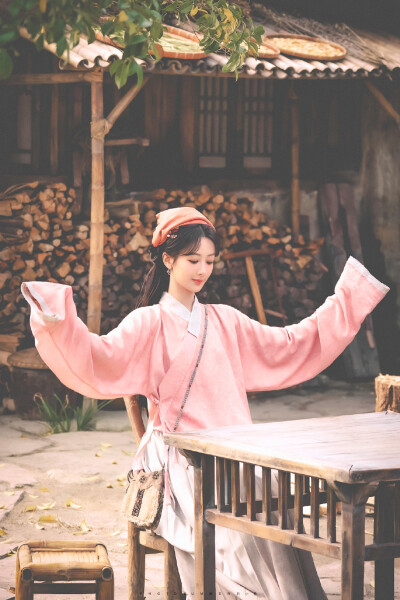 杨紫 李祯 家业