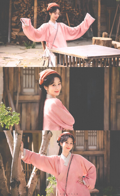 杨紫 李祯 家业