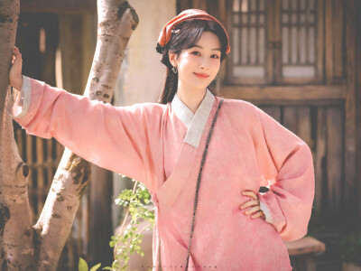 杨紫 李祯 家业