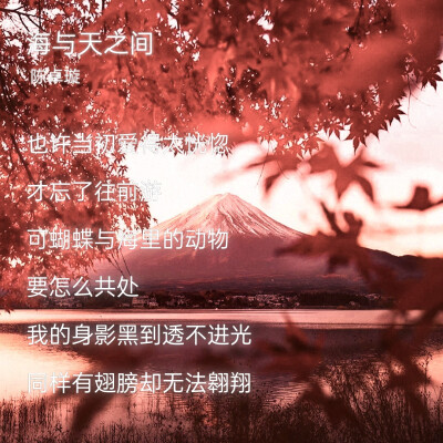 微调可二改
标°槐花源_