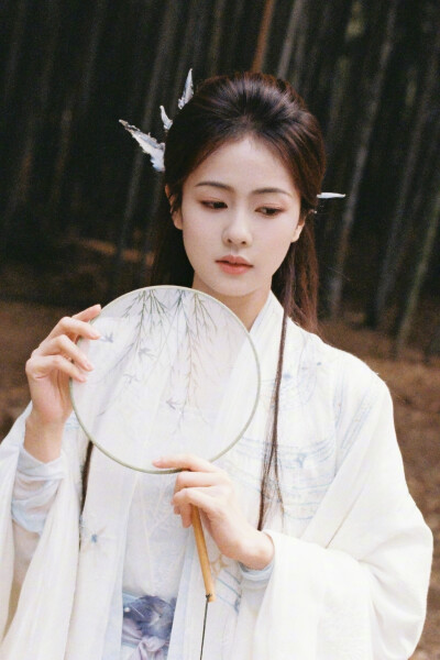 白月梵星