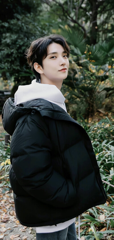 洪知秀 壁纸 seventeen