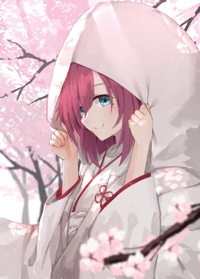马庭芦花