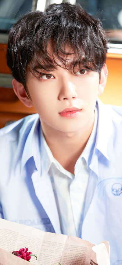 洪知秀 壁纸 seventeen