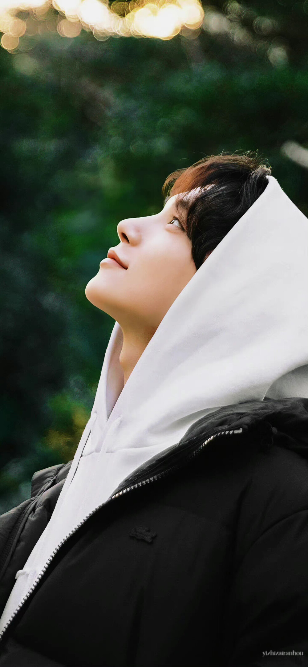 洪知秀 壁纸 seventeen