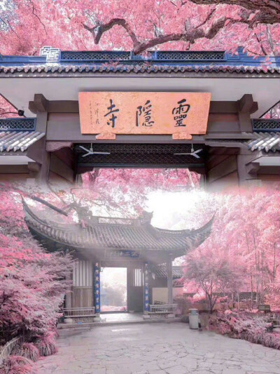 中式美学