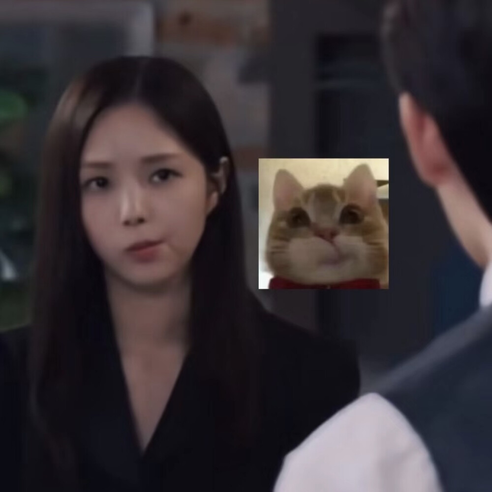 哈哈哈
