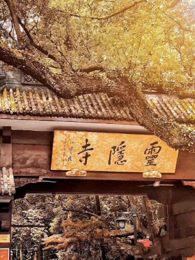 中式美学