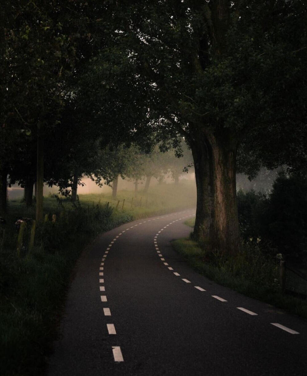 审美积累|早晨的仲夜梦
拍摄者：gosse_bouma