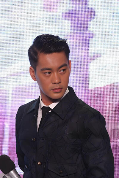 2015年07月，北京，《道士下山》首映礼。
林志玲 张震 郭富城 王宝强 吴建豪 王学圻 范伟 董琦 林雪 陈国坤