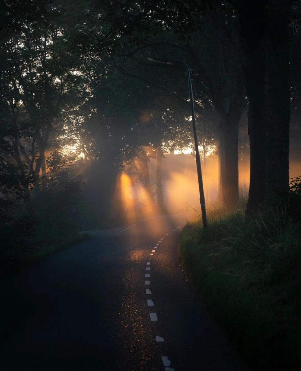 审美积累|早晨的仲夜梦
拍摄者：gosse_bouma