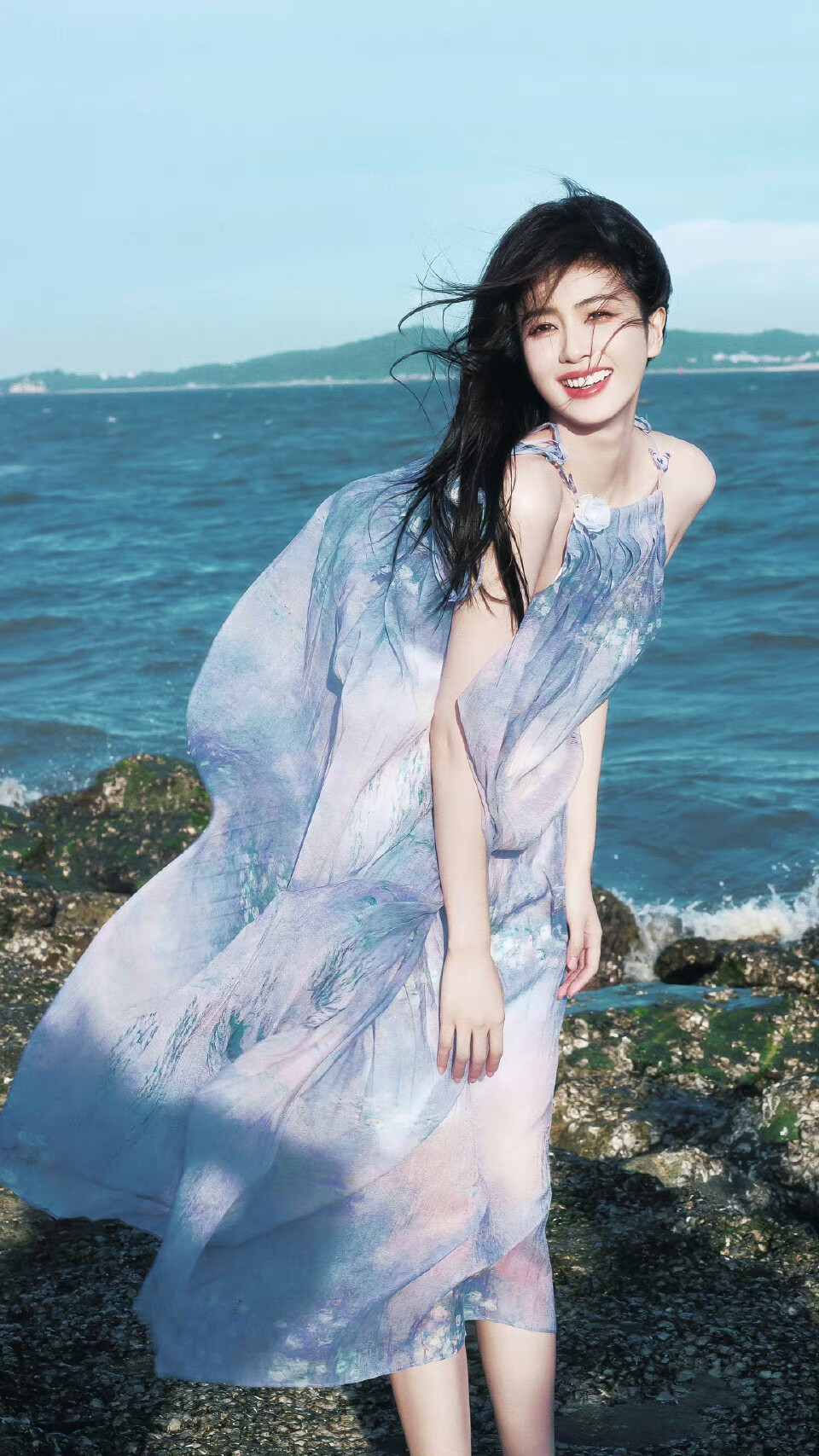 白鹿 海边