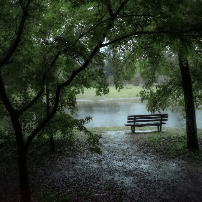  如果爱是一场连绵不断的雨，那么回忆会永远留在潮湿的雨季