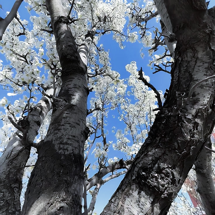 此刻 蓝天 白云 大海 和我