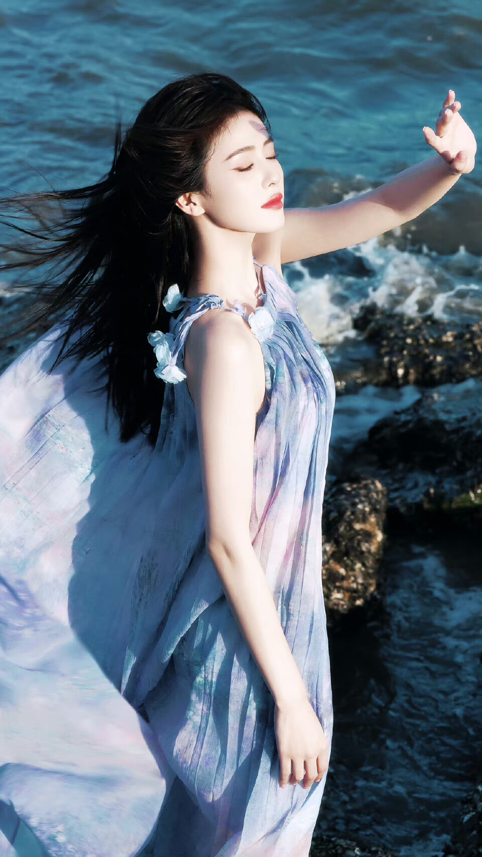 白鹿 海边