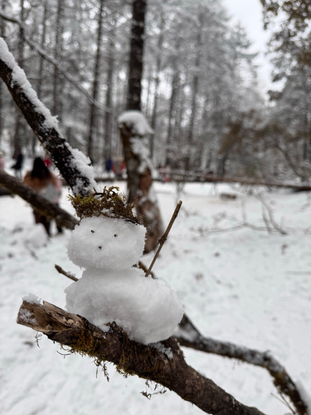 玉龙雪山