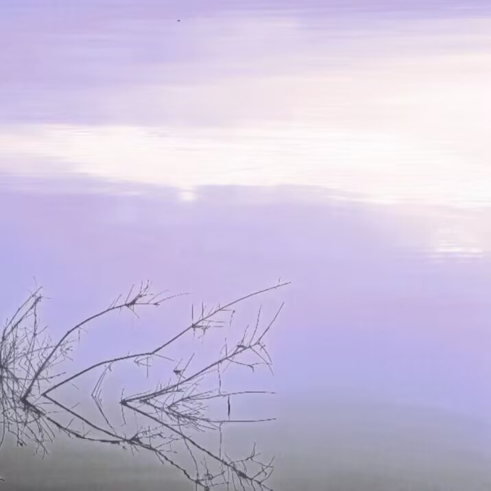 澄明（Clarity）*Scallion to White_