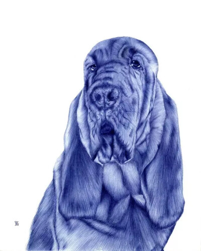 画家 Abadidabou Sarah Esteje 逼真圆珠笔绘画