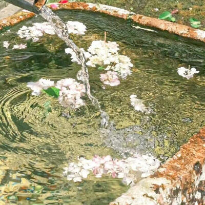 中式美学