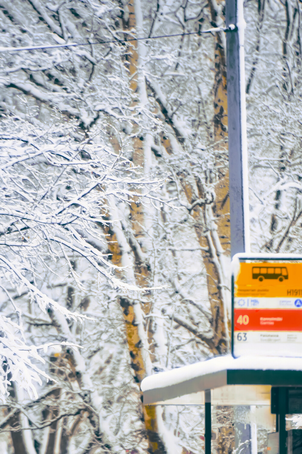 在暴雪时分