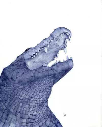 画家 Abadidabou Sarah Esteje 逼真圆珠笔绘画