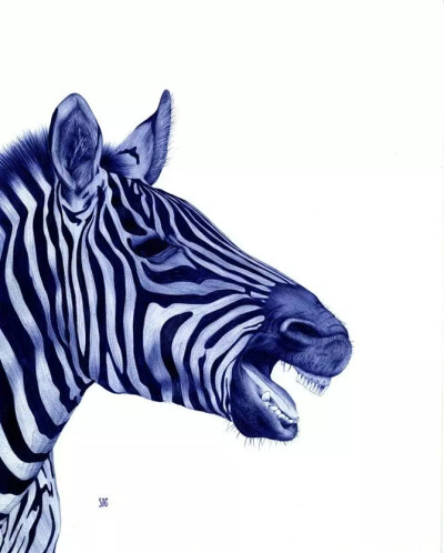 画家 Abadidabou Sarah Esteje 逼真圆珠笔绘画