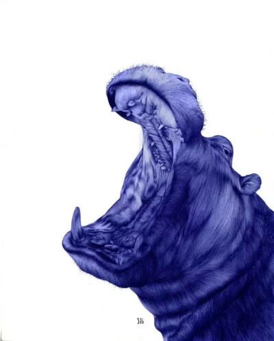 画家 Abadidabou Sarah Esteje 逼真圆珠笔绘画