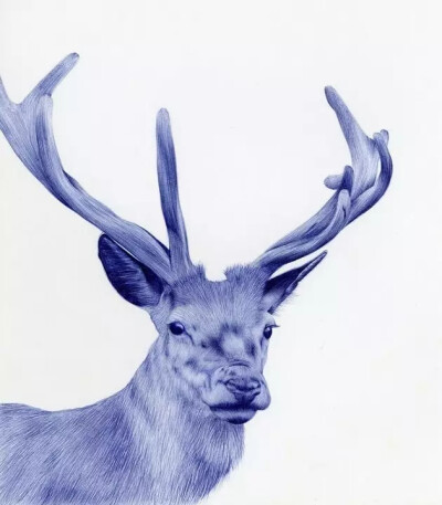 画家 Abadidabou Sarah Esteje 逼真圆珠笔绘画